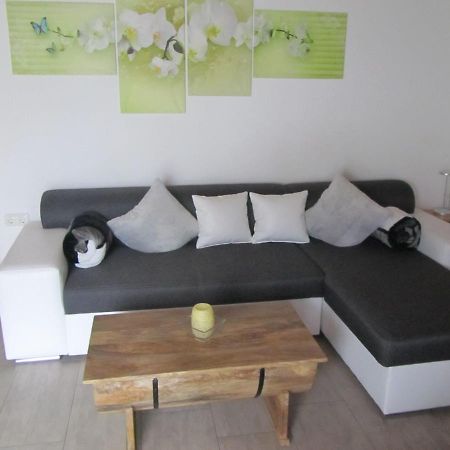 Marienstrasse Apartment Neukirchen vorm Wald Exterior foto